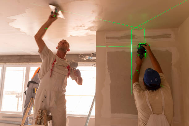 Best Ceiling Drywall Installation  in Caryville, TN